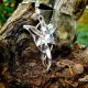 Gospodar Prstenova Lord of the Rings Aruenina Evenstar Ogrlica 1