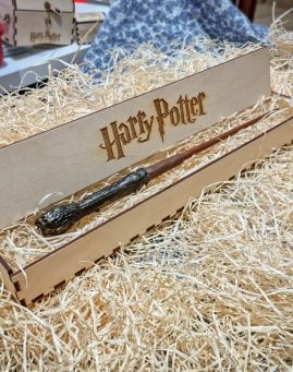 Harijev Carobni Stapic 1 Harry Potter