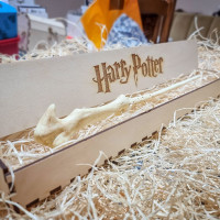 Voldemort Carobni Stapic 1 Harry Potter