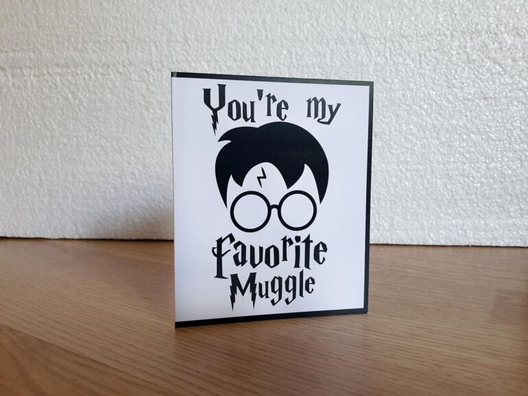 Harry Potter Favorite Muggle Cestitka 1