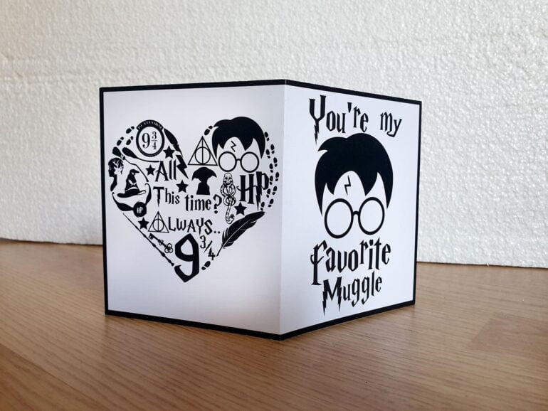 Harry Potter Favorite Muggle Cestitka 3