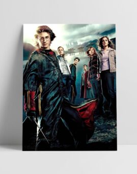 Harry Potter 4 Filmski Poster v1 30x40 1