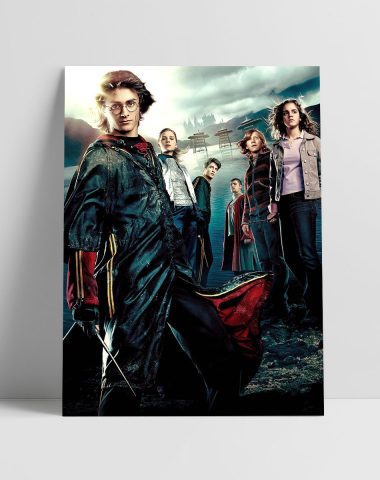 Harry Potter 4 Filmski Poster v1 30x40 1