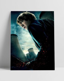 Harry Potter 8 Filmski Poster v3 Ron 30x40 1