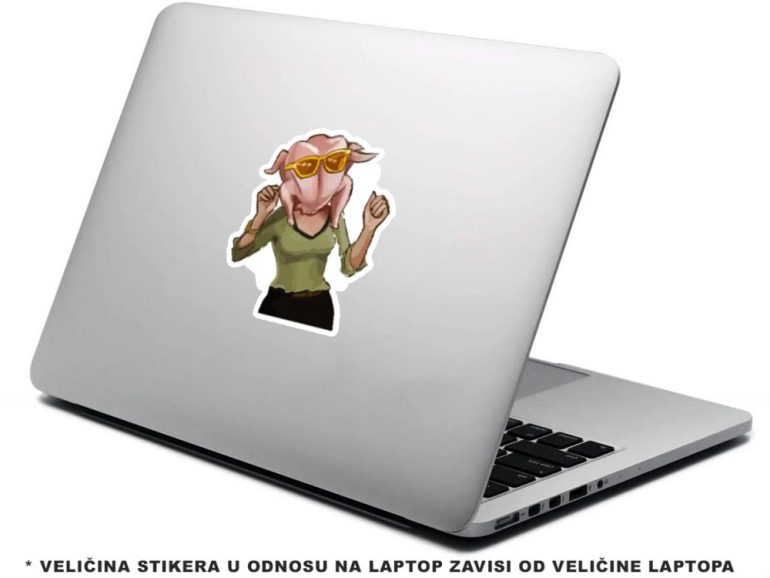 Friends Monica 5 stiker za laptop