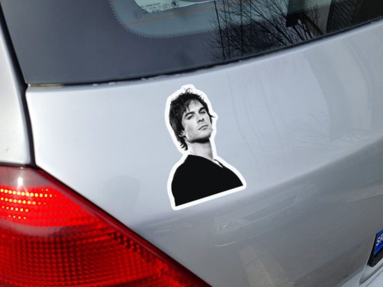 Vampire Diaries Damon Foto 2 stiker za laptop