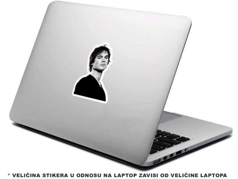 Vampire Diaries Damon Foto 5 stiker za laptop