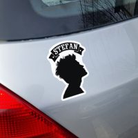 Vampire Diaries Stefan 2 stiker za laptop