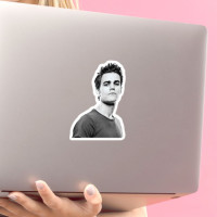 Vampire Diaries Stefan Foto 1 stiker za laptop