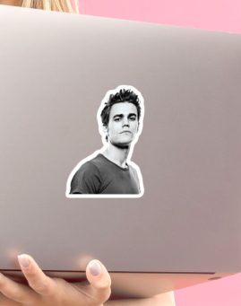 Vampire Diaries Stefan Foto 1 stiker za laptop
