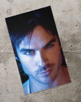 Damon 1 1 Vampirski Dnevnici Bookmarker Obelezivac