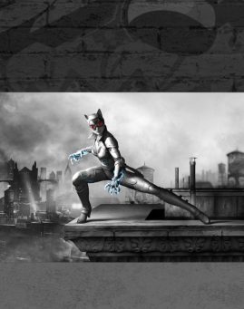 Batman Arkham City 1 Poster