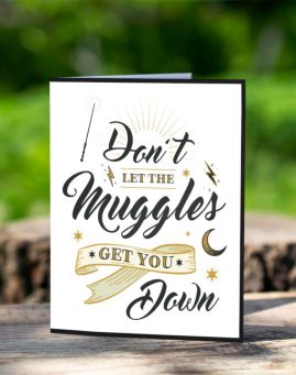 Harry Potter Muggles Cestitka 1