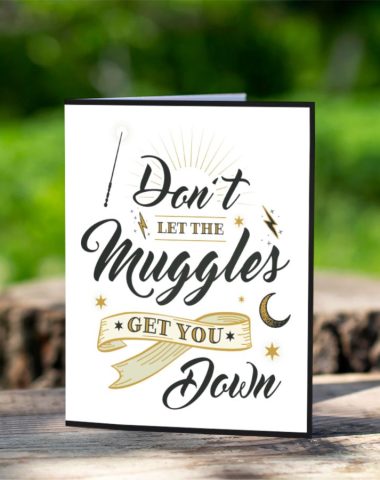 Harry Potter Muggles Cestitka 1