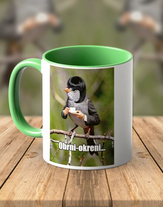 . Dzivdzanka Obrni okreni z
