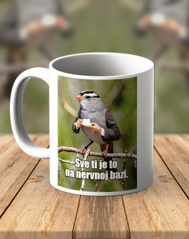 . Dzivdzan Nervna baza
