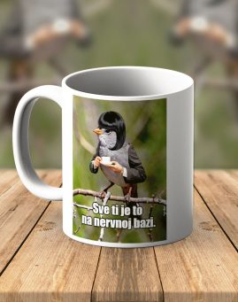 . Dzivdzanka Nervna baza