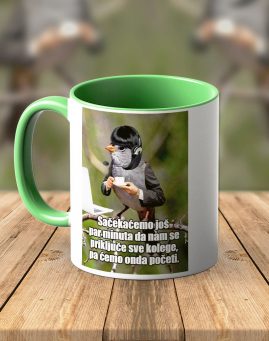 Dzivdzanka Zoom Call st z compressed