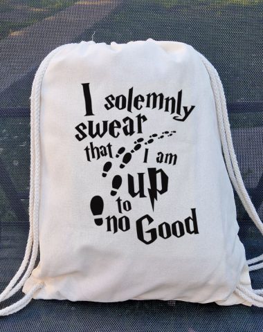 I Solemnly Swear Eko Ranac