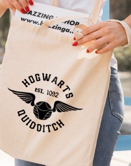 Quidditch Ceger