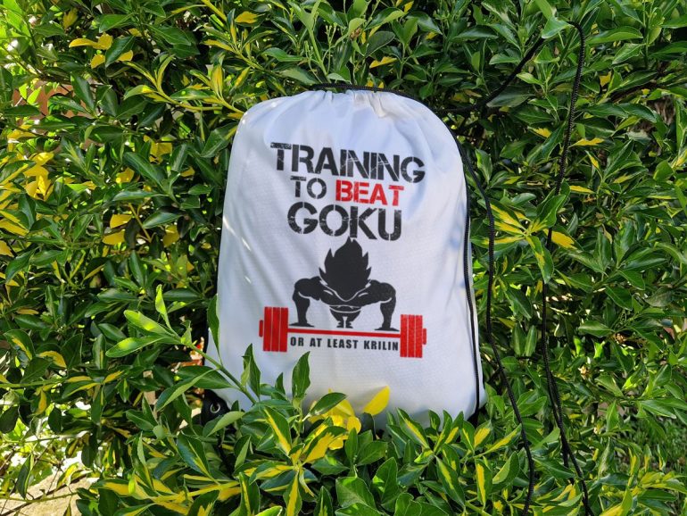 Training to Beat Goku Basic Ranac
