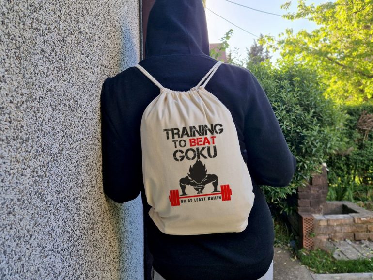 Training to Beat Goku Eko Ranac