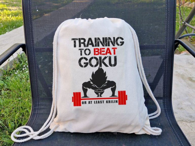 Training to Beat Goku Eko Ranac