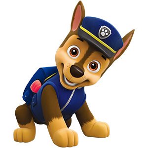 Patrolne Sape