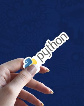 Python v stiker za laptop