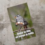 Dzivdzan Knjiga je bolja