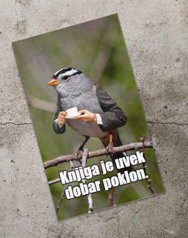 Dzivdzan Knjiga je dobar poklon