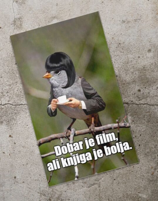 Dzivdzanka Knjiga je bolja
