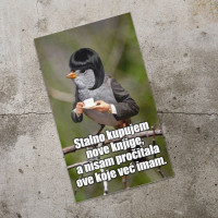 Dzivdzanka Nove Knjige