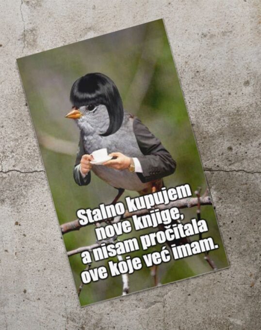 Dzivdzanka Nove Knjige