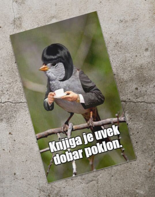 Dzivdzanka knjiga je dobar poklon