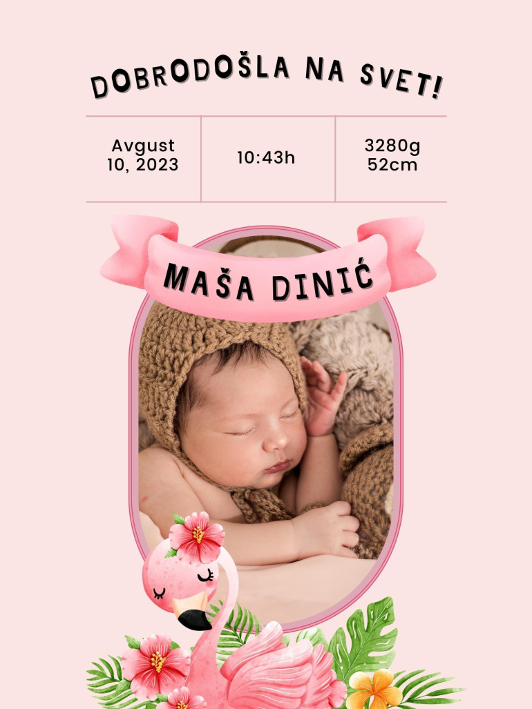 Karta Rođenja 7 - Flamingo - Slika 2