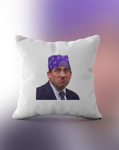 Prison Mike The Office jastuk