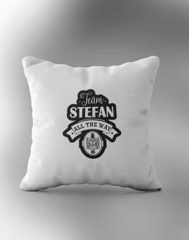 Team Stefan Vampire Diaries jastuk