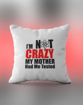The Big Bang Theory Im not crazy jastuk