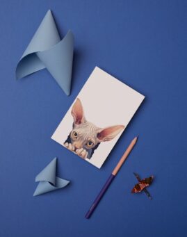 Macka bookmarker ()