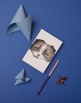 Macka bookmarker ()