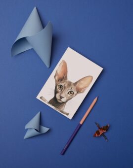 Macka bookmarker ()