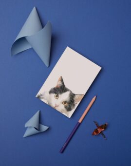 Macka bookmarker ()