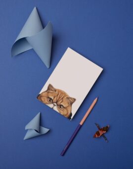 Macka bookmarker ()