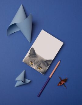 Macka bookmarker ()