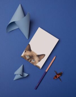 Macka bookmarker ()