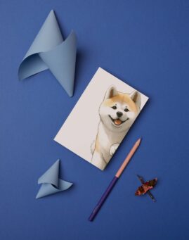 Pas bookmarker ()
