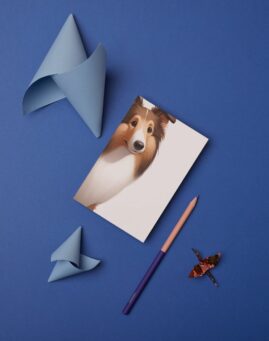 Pas bookmarker ()