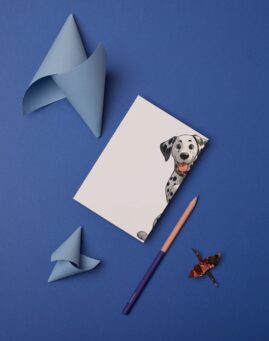 Pas bookmarker ()