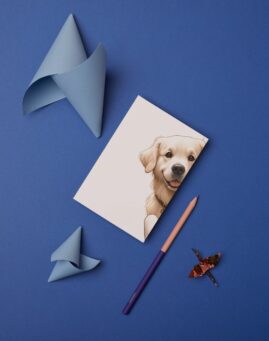 Pas bookmarker ()